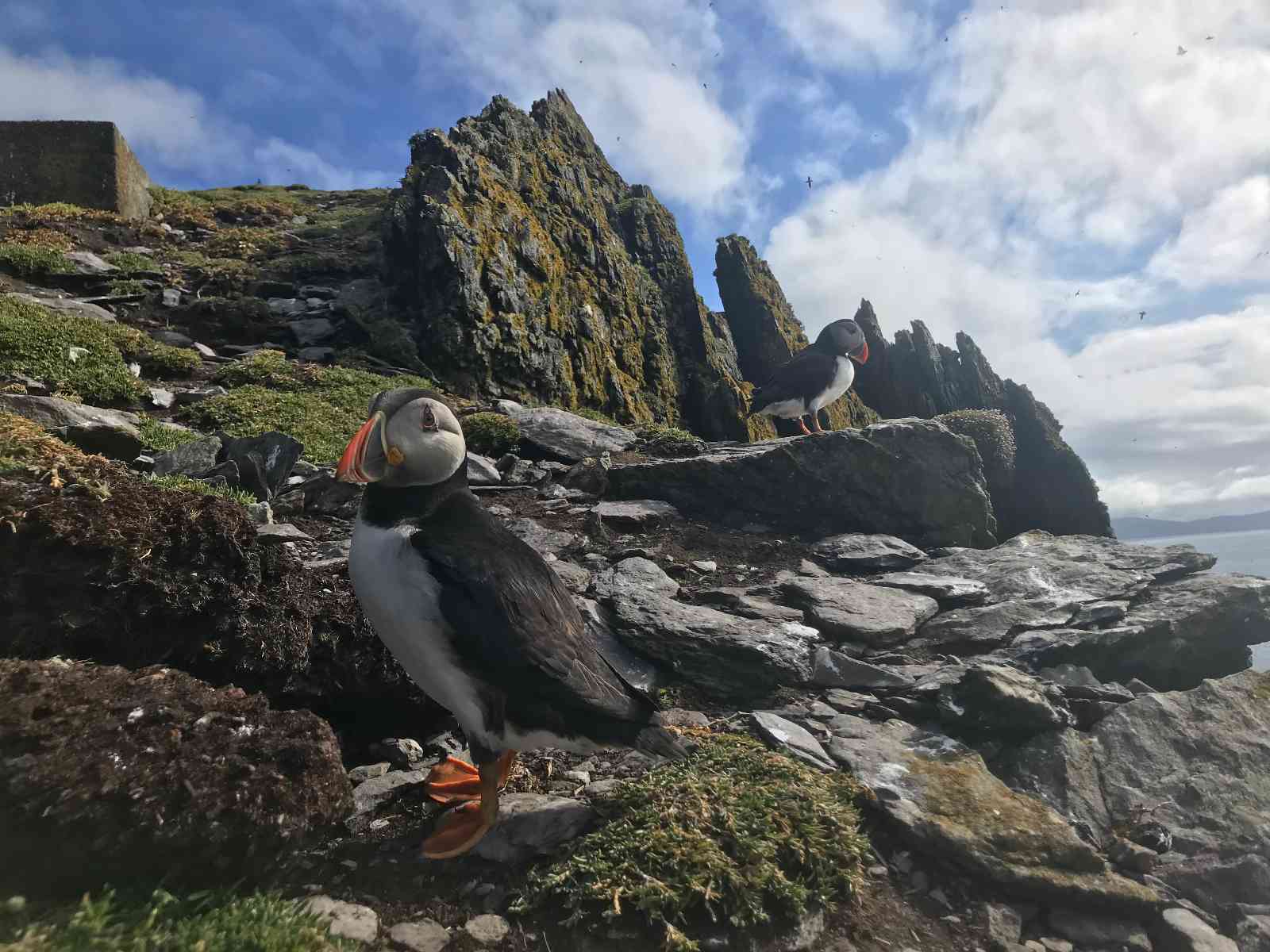 A man climbing up the side of a mountain