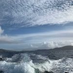 The wake of the boat on a choppy sea, with the coast behind