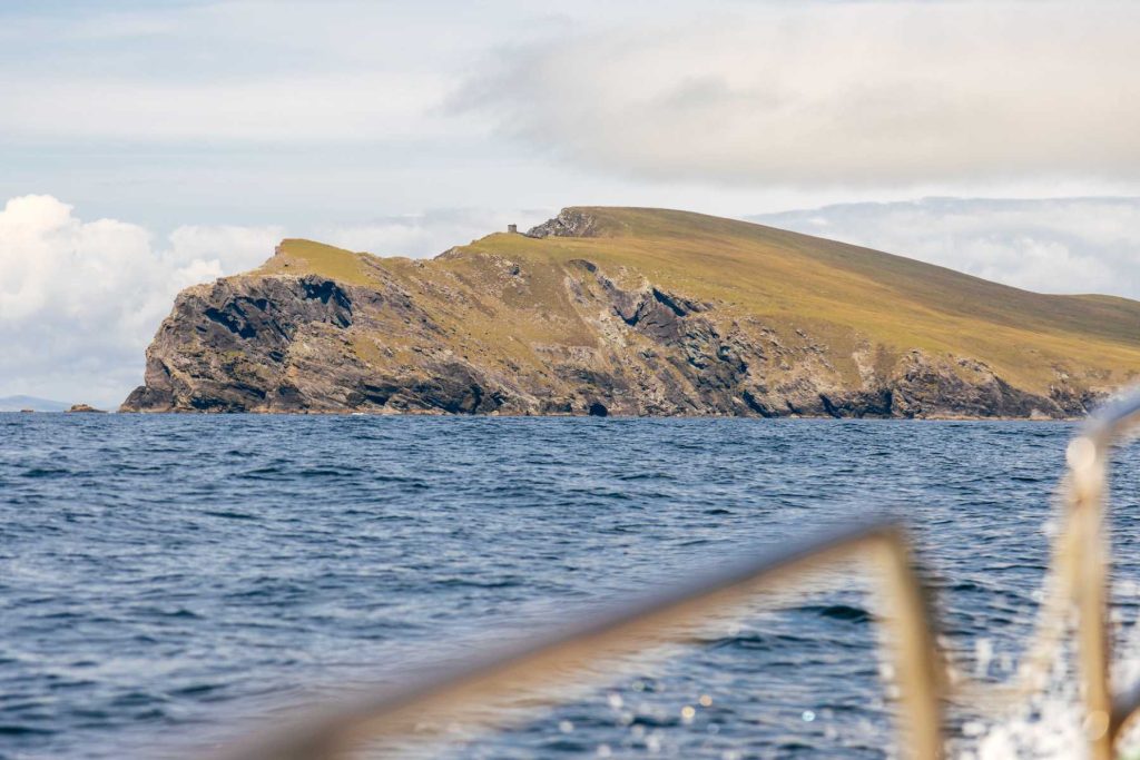 Green cliffs on the Kerry coast, seen from the boat